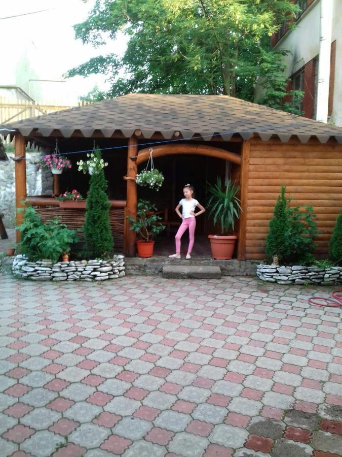 Над Вичов ボロヴェッツ エクステリア 写真